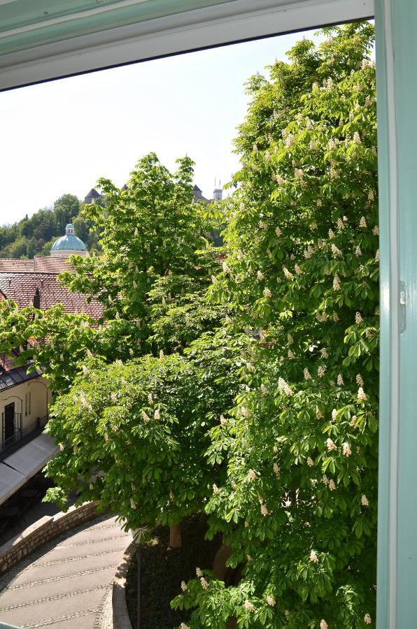 I Design Studio Laibach Exterior foto